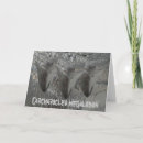 Search for shark cards Megalodon