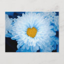 Search for tint postcards Floral