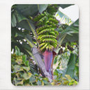 Search for banana mouse mats Xmas