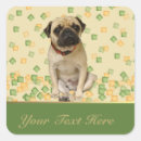 Search for pet adoption stickers Canine