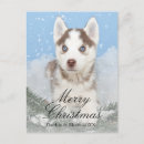 Search for husky puppy postcards Christmas tree