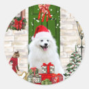 Search for spitz stickers Dog