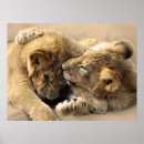 Search for friend baby posters Animals
