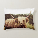 Search for scottish highland cow decor Rustic