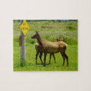 Search for wildlife photography puzzles Nature
