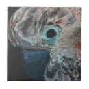 Search for parrot tiles Pink
