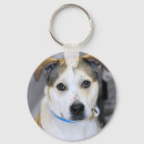 Search for mixed breed key rings Pitbull