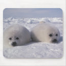 Search for harp mouse mats White