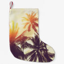 Search for tropical christmas Florida
