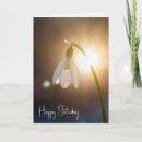 Search for snowdrop cards Garden