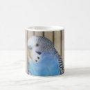 Search for blue parakeet mugs Bird