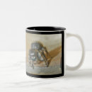 Search for jumping spider mugs Insect
