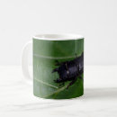 Search for beetles mugs Coleoptera