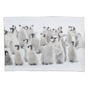 Search for baby animals pillowcases Cute baby animal