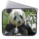 Search for panda laptop cases Animal