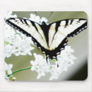 Search for swallowtail butterfly electronics Butterflies