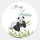 Search for bamboo stickers Gender neutral