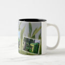 Search for agriculture mugs Corn