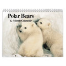 Search for polar bear calendars Animal
