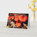 Search for orange red cards Nature