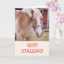 Search for horse joke cards humour