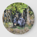 Search for bear cub art Animal lovers