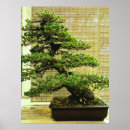 Search for this plants trees art White