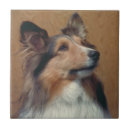 Search for sheepdog tiles Sheltie