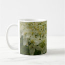 Search for bishop kitchen dining White