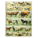 Search for animal print notebooks Breed