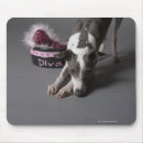 Search for diva mouse mats Pink
