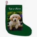 Search for golden retriever christmas decor Funny