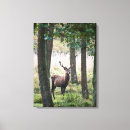 Search for red deer canvas prints Wildlife