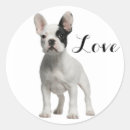 Search for black and white french bulldog stickers Frenchie