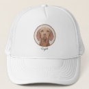 Search for vizslas hats Dog