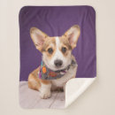 Search for halloween dog blankets Cute