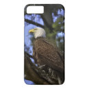 Search for bald eagle iphone cases Nature