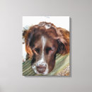 Search for english springer spaniel art Pets