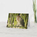 Search for waterbirds cards Wildlife