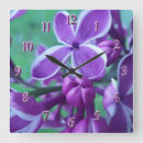 Search for lilac clocks Syringa