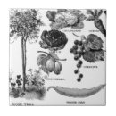 Search for garden tiles Antique