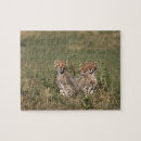 Search for kenya puzzles Wildlife