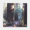 Search for muir woods magnets California