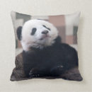 Search for giant panda cushions China