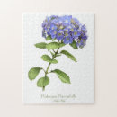Search for hydrangea puzzles Blue flowers