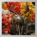 Search for whitetail posters Hunting