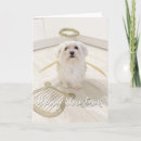 Search for maltese christmas cards Dog