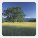 Search for great smokey mountains stickers North america