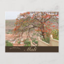Search for mali postcards Bamako