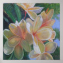 Search for hawaiian posters Botanical